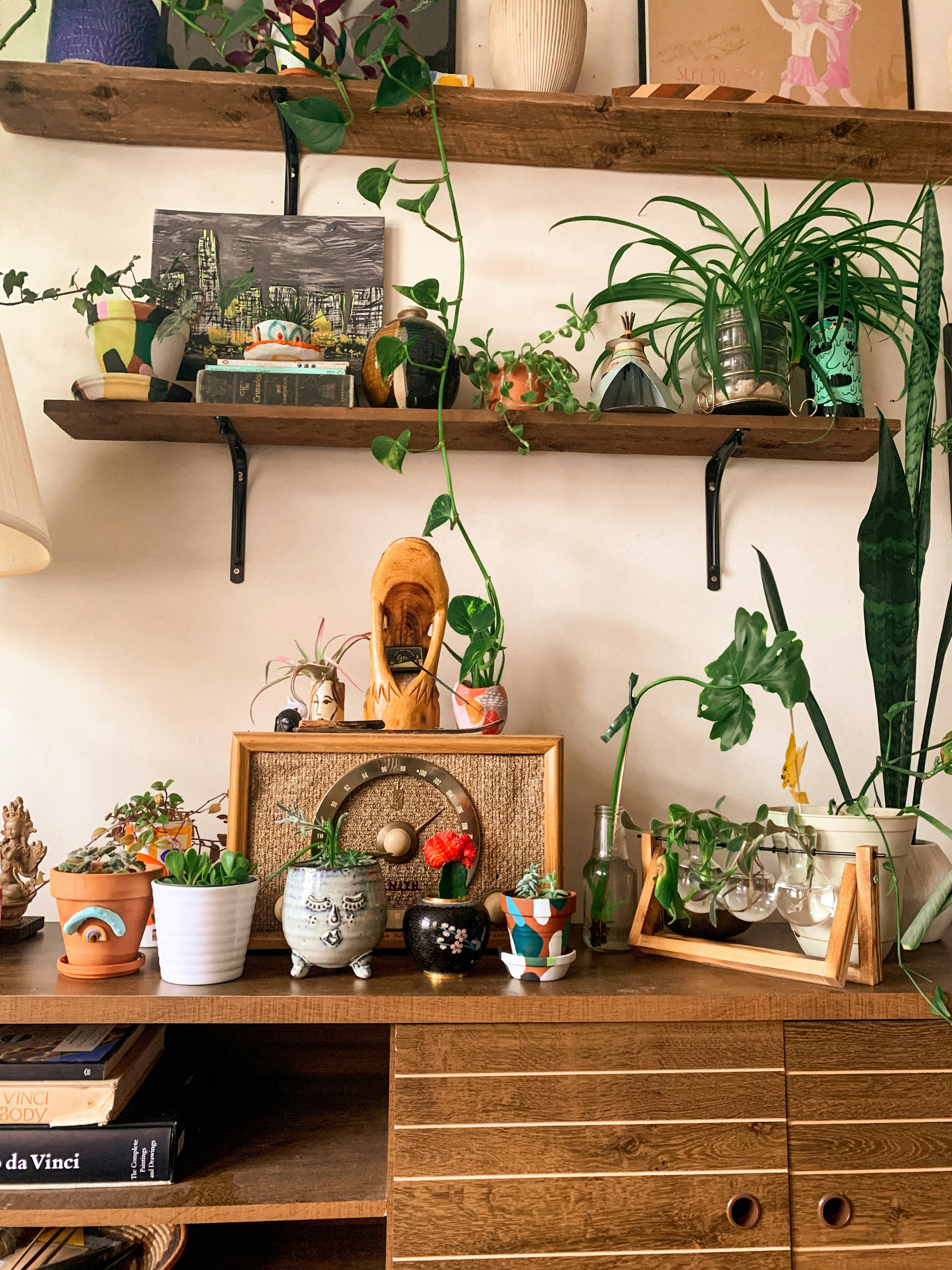 plants as decor plants as decor