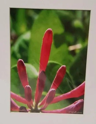 Nate Miller art photo